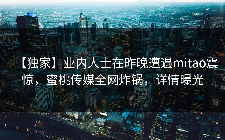 【独家】业内人士在昨晚遭遇mitao震惊，蜜桃传媒全网炸锅，详情曝光